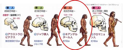 旧人 意味|旧人類(キュウジンルイ)とは？ 意味や使い方